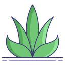 aloe vera icon