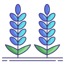 lavanda icon