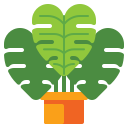 monstera icon