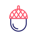 Acorn 