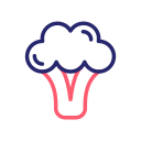 brócoli icon