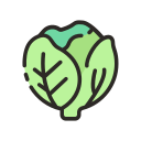 lechuga icon