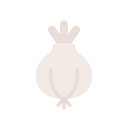 Onion 