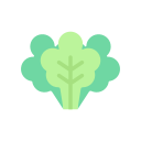Rhubarb 