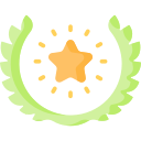 estrella icon