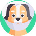 collar isabelino icon