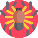 tarántula icon