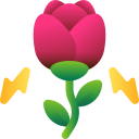 rosa icon