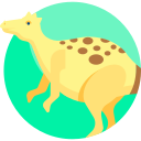 Dinosaur 