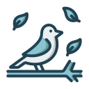 pájaro icon