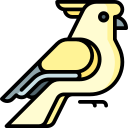 cacatúa icon