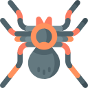 tarántula icon