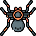 tarántula icon