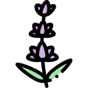 lavanda icon