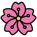 flor de cerezo 