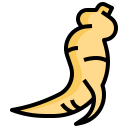 ginseng icon