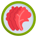 kimchi icon