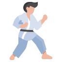 taekwondo icon