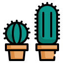 cactus icon