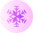 copo de nieve icon