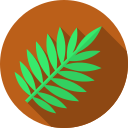 hoja icon