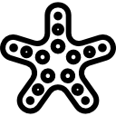 estrela do mar com cinco pontas e delineada 