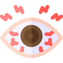 ojo icon