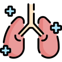 pulmones icon