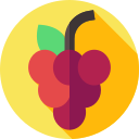 uvas icon