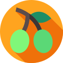 olivos icon