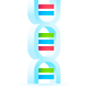 Dna 