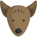 xoloitzcuintle icon