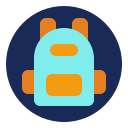 bolso icon