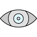 visión icon