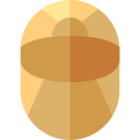 escarabajo icon