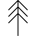 소나무 