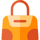 bolso icon