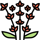 lavanda icon