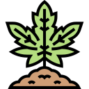 marijuana icon