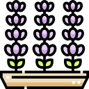 lavanda icon