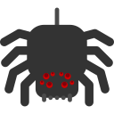araignée 
