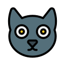 gato negro icon