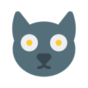 gato negro icon