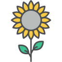 girasol icon