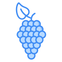 uvas icon