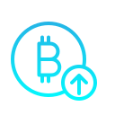 bitcoin icon