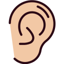 oreja 