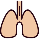 pulmones 