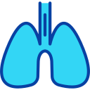 pulmones icon