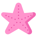 estrella de mar 